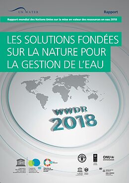 eBook (pdf) Rapport mondial des Nations Unies sur la mise en valeur des ressources en eau 2018 de 