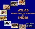 E-Book (epub) Atlas Animal Genetic Resources of India von S. P. S. Ahlawat, S. C. Gupta