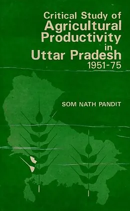 E-Book (epub) Critical Study of Agricultural Productivity in Uttar Pradesh 1951-1975 von Som Nath Pandit