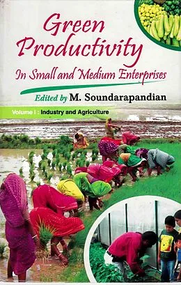 E-Book (epub) Green Productivity in Small and Medium Enterprises: Industry and Agriculture von M. Soundarapandian