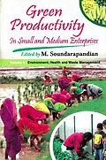 E-Book (epub) Green Productivity in Small and Medium Enterprises: Environment, Health and Waste Management von M. Soundarapandian