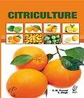 ePUB Citriculture von V. M. Prasad