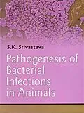 ePUB Pathogenesis of Bacterial Infections in Animals von S. K. Srivastava