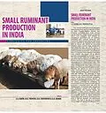 E-Book (epub) Small Ruminant Production in India von S. A. Karim, Mk Tripathi