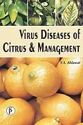 E-Book (epub) Virus Diseases Of Citrus And Management von Y. S. Ahlawat