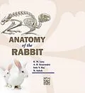E-Book (epub) Anatomy Of The Rabbit von Lucy K. M., Sreeranjini A. R