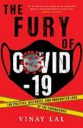 E-Book (epub) The Fury of COVID-19 von Vinay Lal