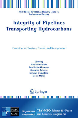 Kartonierter Einband Integrity of Pipelines Transporting Hydrocarbons von 