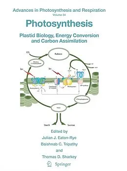 E-Book (pdf) Photosynthesis von Julian J. Eaton-Rye, Baishnab C. Tripathy, Thomas D. Sharkey