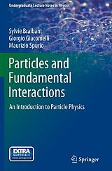 eBook (pdf) Particles and Fundamental Interactions de Sylvie Braibant, Giorgio Giacomelli, Maurizio Spurio