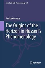 eBook (pdf) The Origins of the Horizon in Husserl's Phenomenology de Saulius Geniusas
