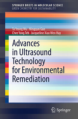E-Book (pdf) Advances in Ultrasound Technology for Environmental Remediation von Ta Yeong Wu, Ningqun Guo, Chee Yang Teh
