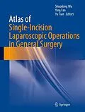 E-Book (pdf) Atlas of Single-Incision Laparoscopic Operations in General Surgery von Shuodong Wu, Ying Fan, Yu Tian