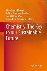 eBook (pdf) Chemistry: The Key to our Sustainable Future de Minu Gupta Bhowon, Sabina Jhaumeer-Laulloo, Henri Li Kam Wah