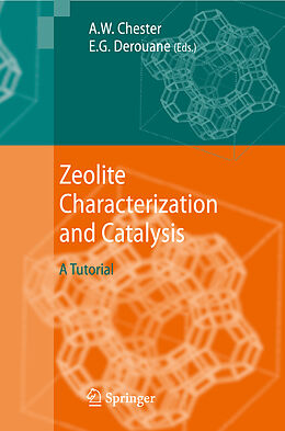 Kartonierter Einband Zeolite Characterization and Catalysis von 
