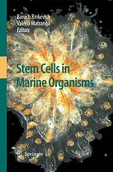 Kartonierter Einband Stem Cells in Marine Organisms von