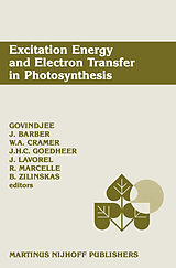 eBook (pdf) Excitation Energy and Electron Transfer in Photosynthesis de 