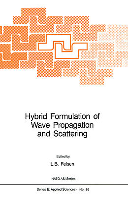 Kartonierter Einband Hybrid Formulation of Wave Propagation and Scattering von 