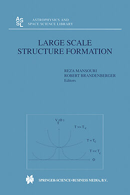 Kartonierter Einband Large Scale Structure Formation von 