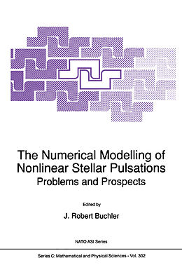 Kartonierter Einband The Numerical Modelling of Nonlinear Stellar Pulsations von 