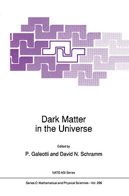 Kartonierter Einband Dark Matter in the Universe von 