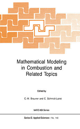 Kartonierter Einband Mathematical Modeling in Combustion and Related Topics von 