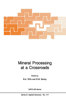 Kartonierter Einband Mineral Processing at a Crossroads von 
