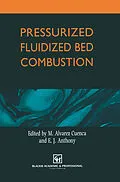 E-Book (pdf) Pressurized Fluidized Bed Combustion von M. Alvarez Cuenca, E. J. Anthony