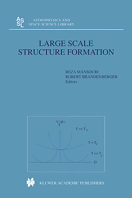 E-Book (pdf) Large Scale Structure Formation von 