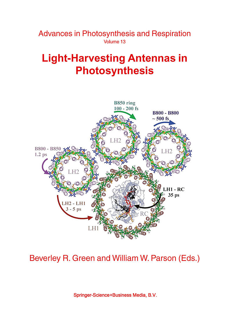 Light-Harvesting Antennas in Photosynthesis