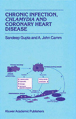 Kartonierter Einband Chronic Infection, Chlamydia and Coronary Heart Disease von A. J. Camm, S. Gupta