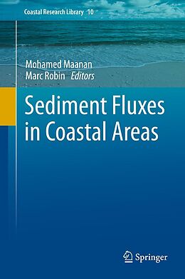 eBook (pdf) Sediment Fluxes in Coastal Areas de 