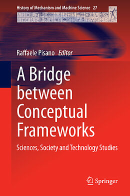 E-Book (pdf) A Bridge between Conceptual Frameworks von 