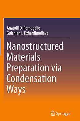 Kartonierter Einband Nanostructured Materials Preparation via Condensation Ways von Gulzhian I. Dzhardimalieva, Anatolii D. Pomogailo