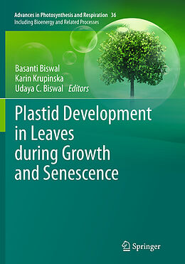 Kartonierter Einband Plastid Development in Leaves during Growth and Senescence von 