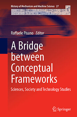 Kartonierter Einband A Bridge between Conceptual Frameworks von 