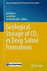 eBook (pdf) Geological Storage of CO2 in Deep Saline Formations de 