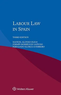 E-Book (epub) Labour Law in Spain von Manuel Alonso Olea