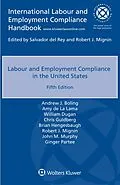 E-Book (epub) Labour and Employment Compliance in the United States von Andrew J. Boling et Al.