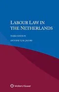 E-Book (epub) Labour Law in the Netherlands von Antoine T. J. M. Jacobs