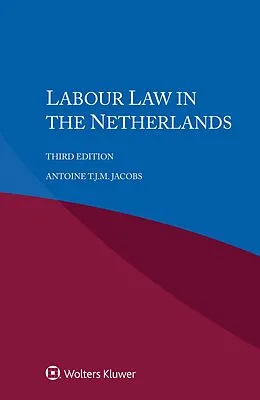 E-Book (epub) Labour Law in the Netherlands von Antoine T. J. M. Jacobs