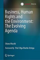 E-Book (pdf) Business, Human Rights and the Environment: The Evolving Agenda von Chiara Macchi