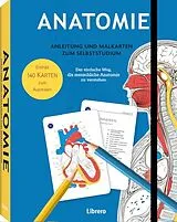 Kartonierter Einband (Kt) Anatomie  Anleitung und Malkarten zum Selbststudium von Gary Sacks