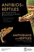 E-Book (pdf) Anfibios y reptiles del municipio de San José del Guaviare (Guaviare, Colombia) von Martha Lucia Calderon Espinosa, Guido Fabian Medina Rangel, Adriana Jerez