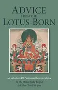 E-Book (epub) Advice from the Lotus-Born von Padmasambhava