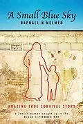E-Book (epub) Small Blue Sky von Raphael N Melmed