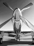 E-Book (epub) Brave Pilot von Shelley Alongi