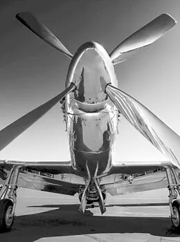 E-Book (epub) Brave Pilot von Shelley Alongi