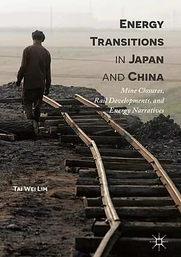 E-Book (pdf) Energy Transitions in Japan and China von Tai Wei Lim