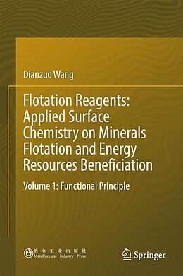 E-Book (pdf) Flotation Reagents: Applied Surface Chemistry on Minerals Flotation and Energy Resources Beneficiation von Dianzuo Wang